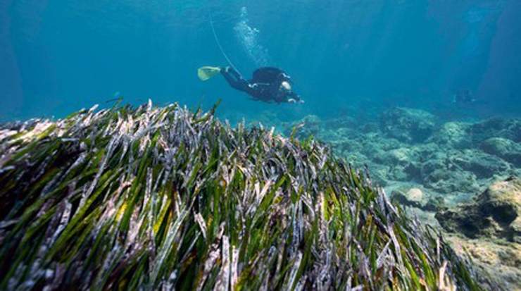 Archaeological project at Akrotiri-Dreamer’s Bay