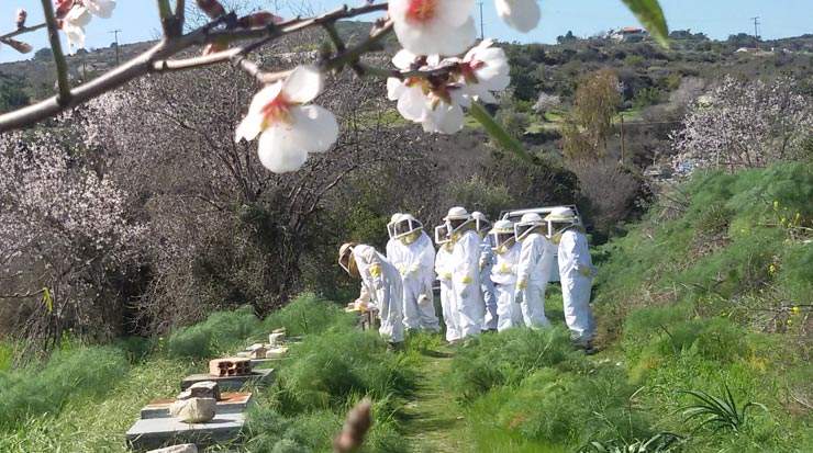 Larnaca Educational Tour for Local Trade