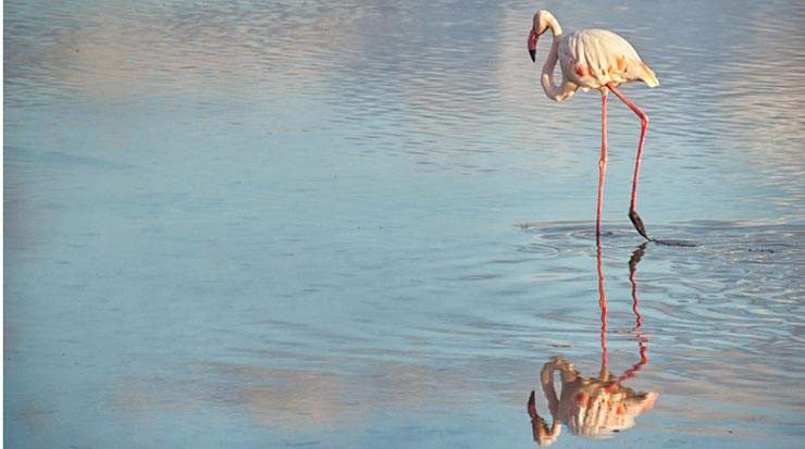 The Digital Evolution of Tourism in Larnaca Region