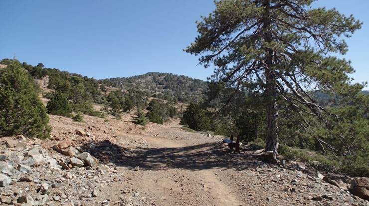 The findings indicate the mountains were not only used for hunting and gathering