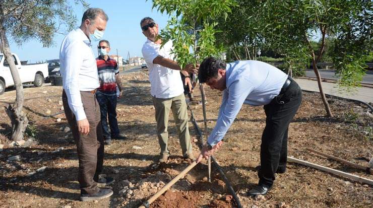 Ayia Napa: trees planted in memory of hotel industry colleagues