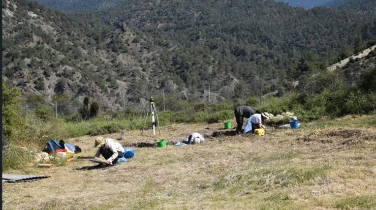 Kourion Urban Space Project: 2024 Excavation Season