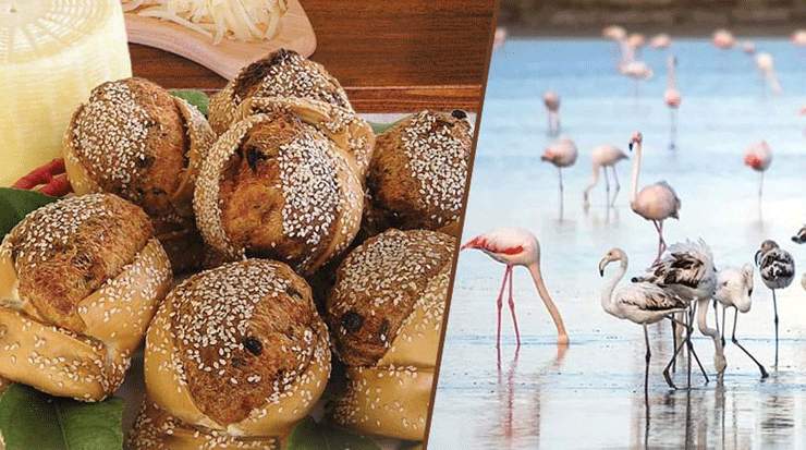 PASYXE Welcomes Government Support Measures Extension