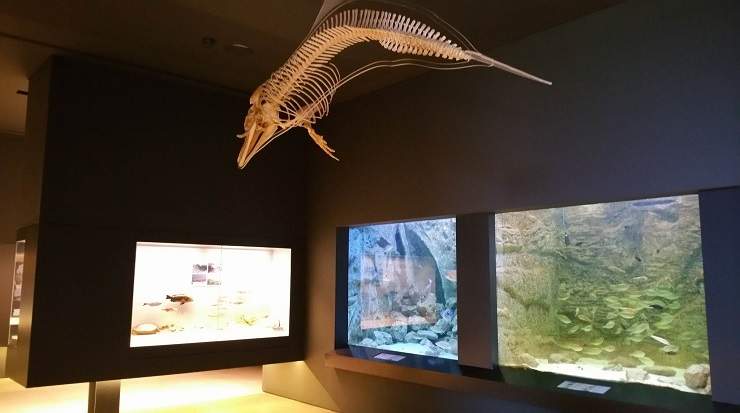 Vrisaki Hotel, Protaras is set to host a seminar on February 28