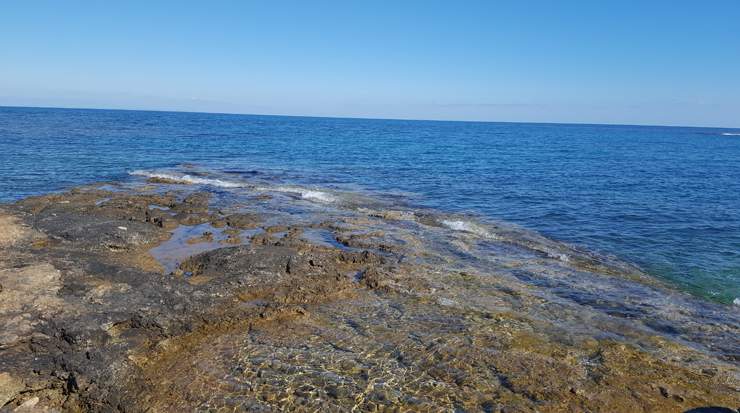 Cyprus Revenue from Tourism for February Announced