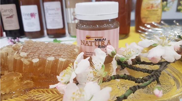 Museum of Bees and Embroidery