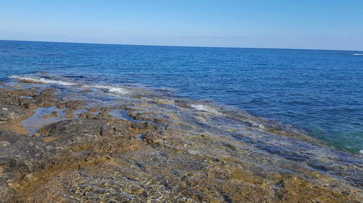 Cyprus Passengers survey was not Conducted in April