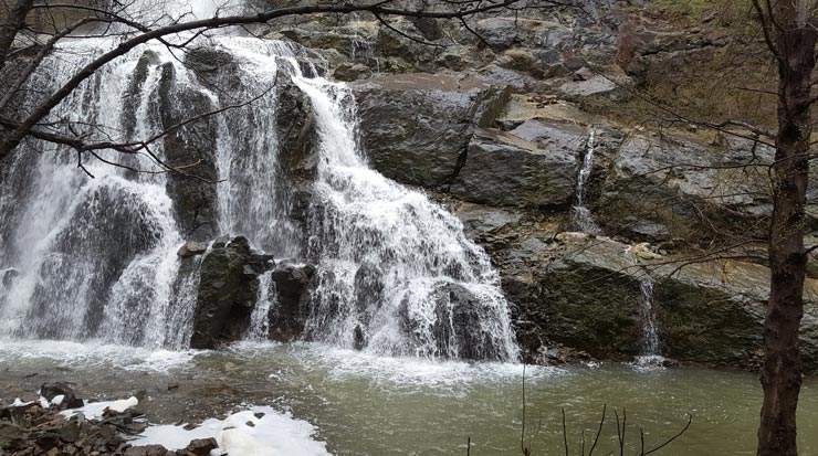 Cyprus Latest Figures: Revenue from Tourism, January 2021