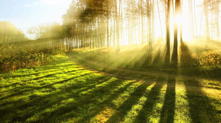 Participants will aim to capture unique nature images