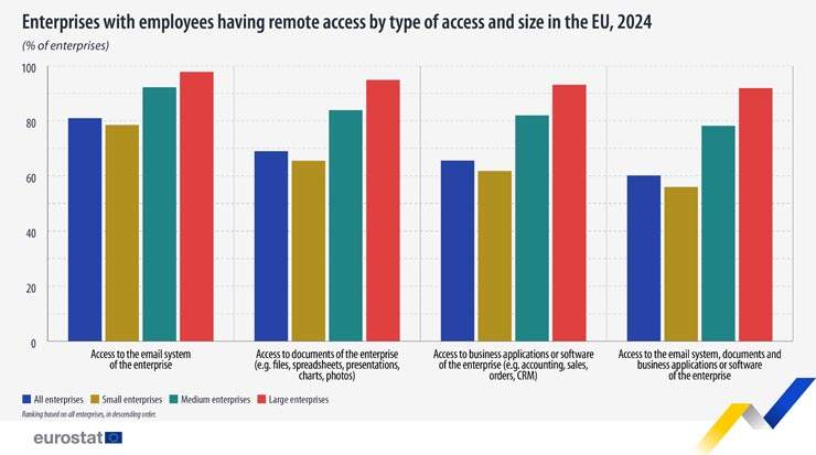 53 Percent of EU Enterprises Held Remote Meetings in 2024