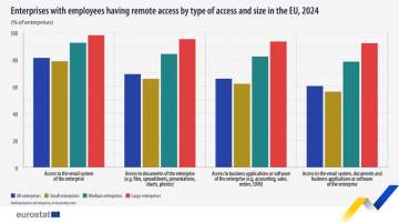 53 Percent of EU Enterprises Held Remote Meetings in 2024