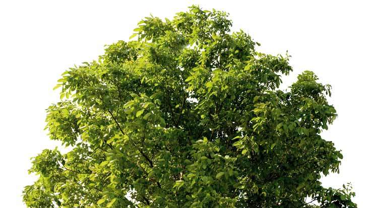 Green Development in Ayia Napa