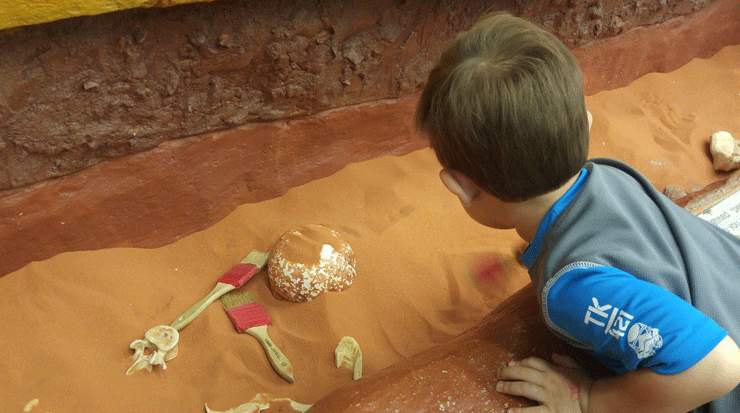 Cyprus to Offer a Tribute to Museums