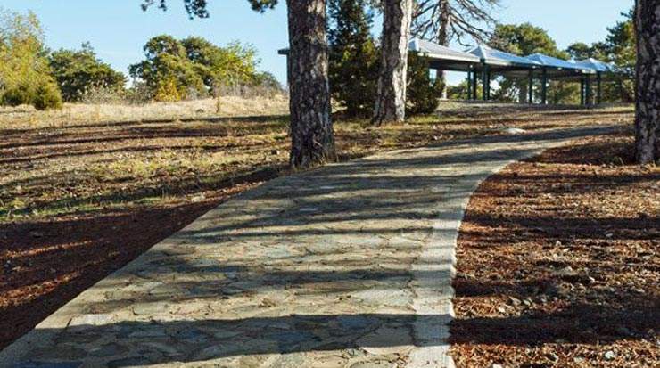 Seventh Year Walking Festival Taking Place