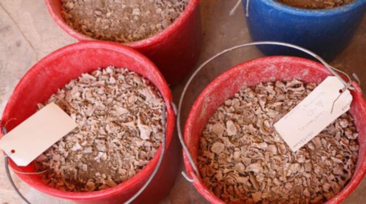 Historical Discovery on the Citadel of Ancient Paphos