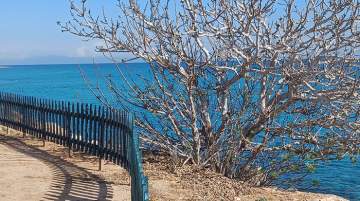 Protaras, Cyprus 