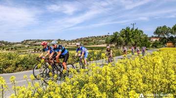 Sports Tourism