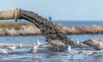 Three Percent of the World’s Ocean Protected Areas Are Polluted by Sewage